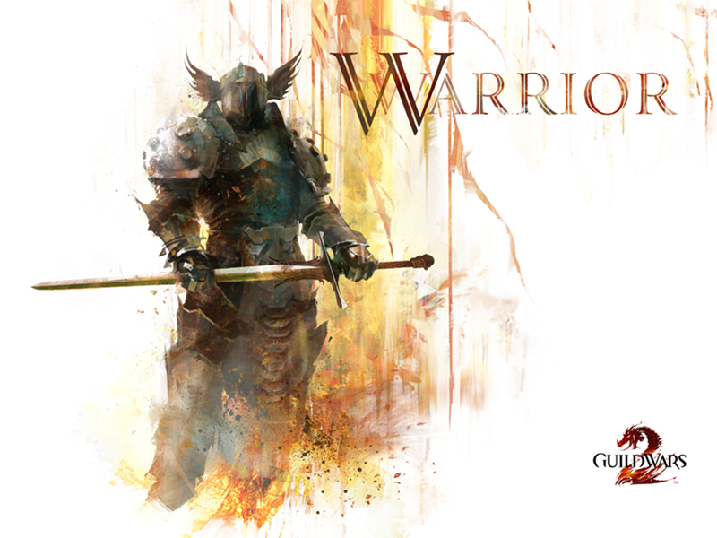 GW2Warrior01-800x600.jpg